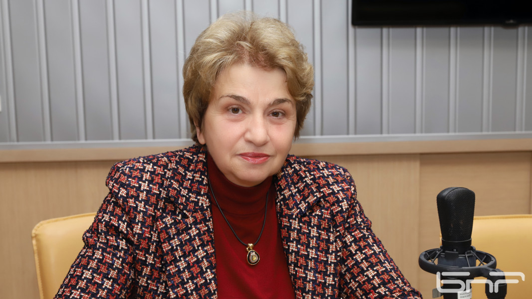 Меглена Плугчиева: Искат приоритет на българското производство, но него го няма