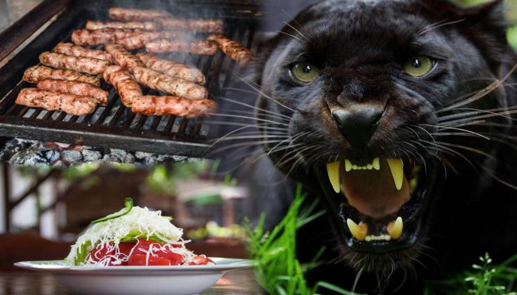 НАШИЯТ ЧЕРЕН ЛЕОПАРД лапа сладолед и кебапчета при комшиите! (СНИМКИ+ВИДЕО)