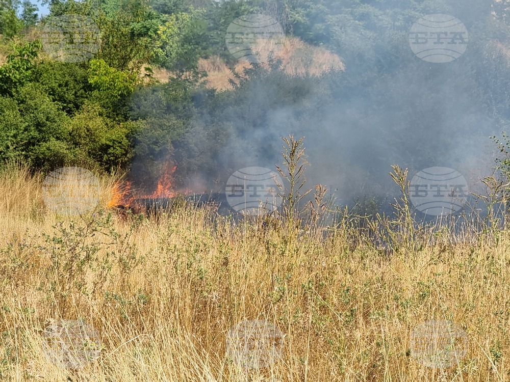 Затворен за движение е пътят от София към Варна поради пожар в района на местността Боаза