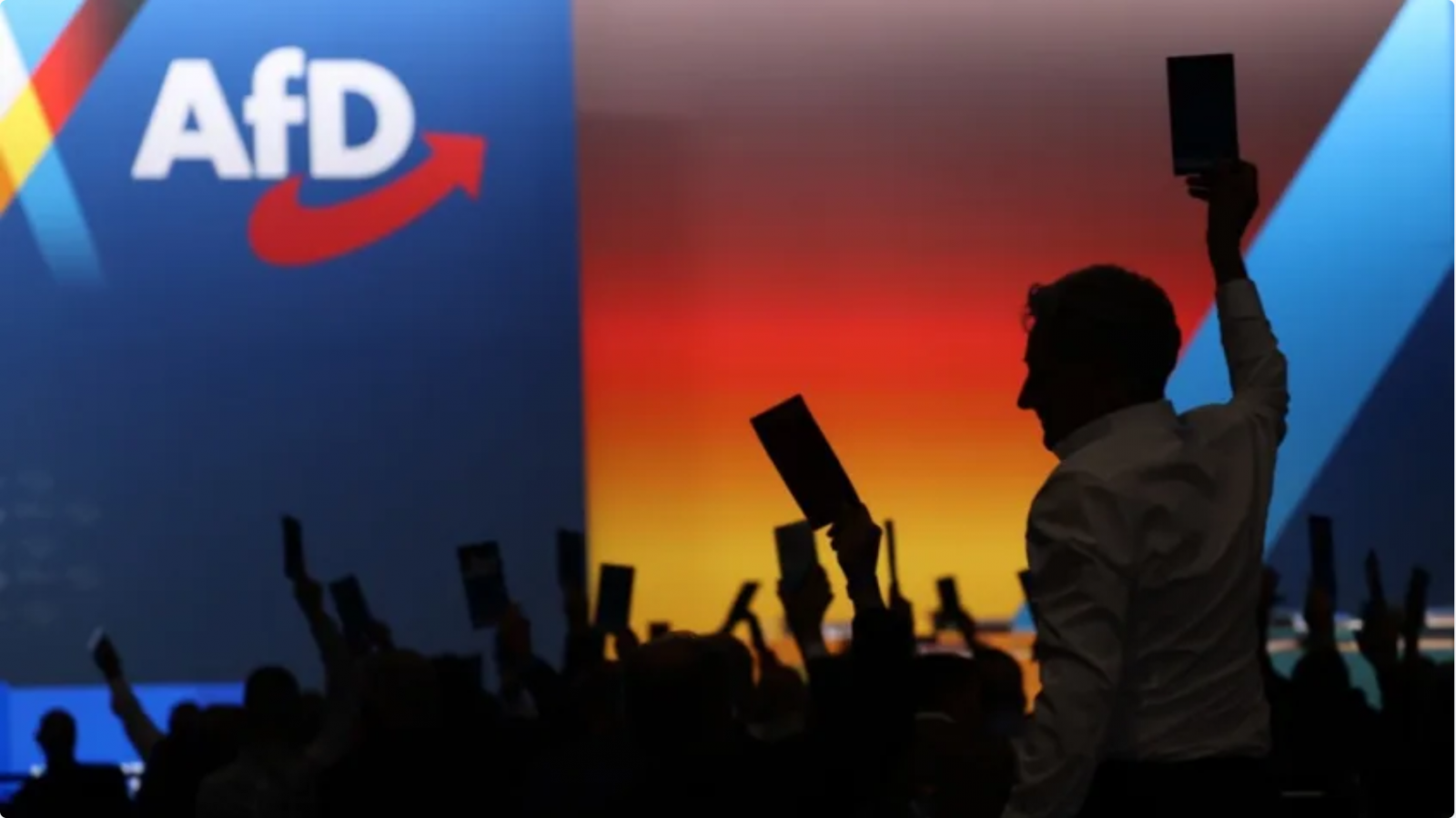 Повече от 1000 германски юристи подкрепят призива за забрана на AfD „в защита на демокрацията“