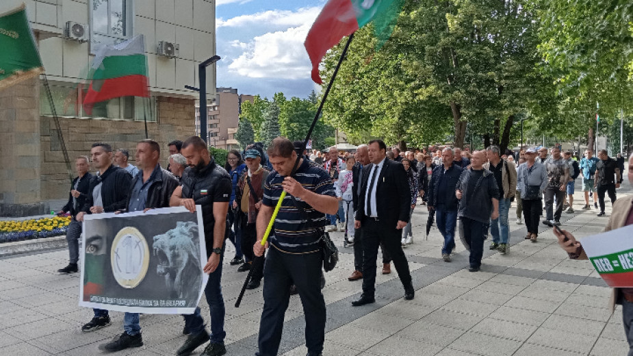 В Монтана излязоха на протест в защита на българския лев