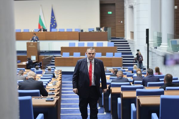 Делян Пеевски против забрана президента да си прави партия: Румен да излиза на терен