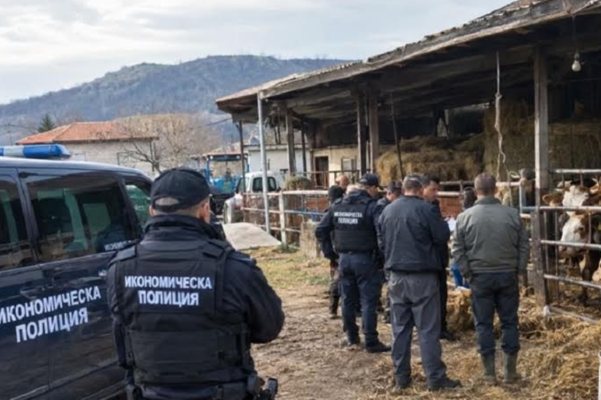 Животновъди от Врачанско източили над 70 000 евро от държавни субсидии