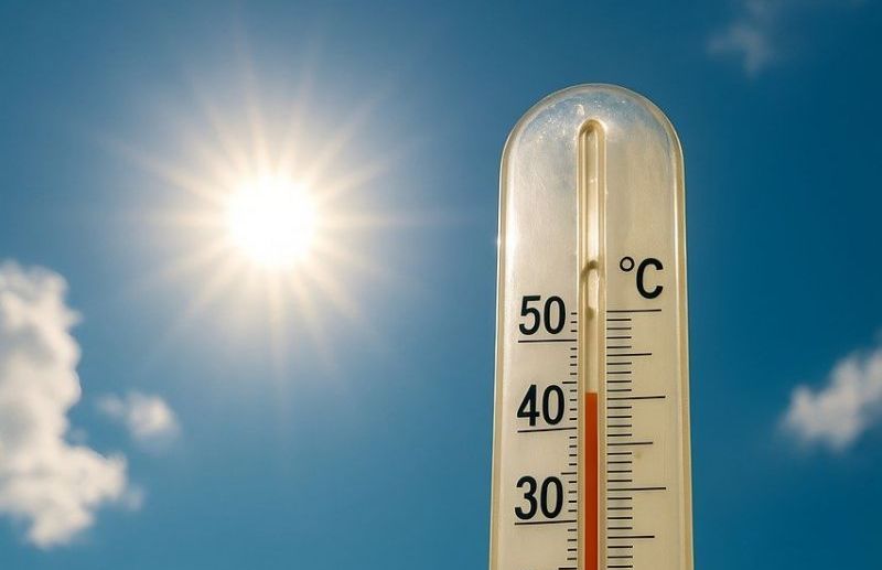 Рекордна жега: Десетки колабираха в София, Монтана отбеляза 44°C