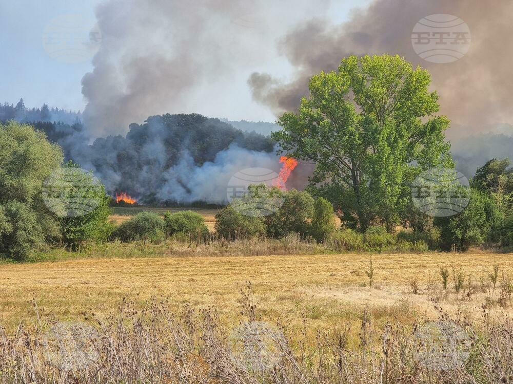 Докато се опитвахме да зареждаме вода пред общината, кметът надничаше иззад остъклената врата на сградата и не благоволи да излезе (ВИДЕО)