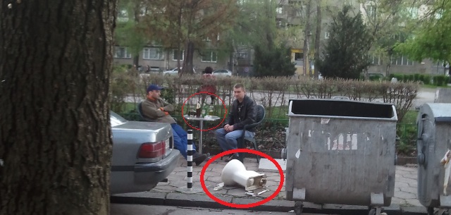 За делфините и цацата