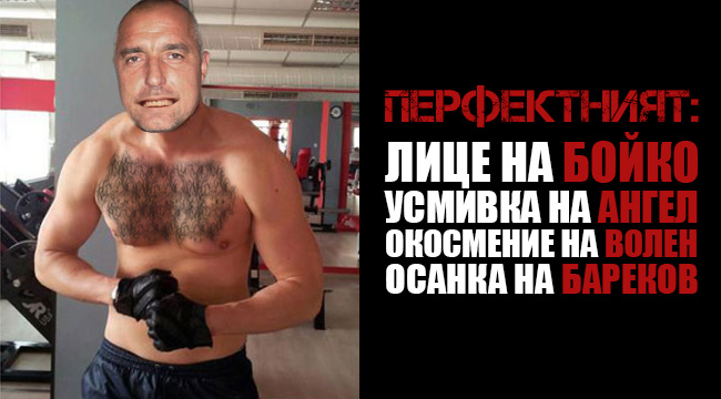 Идеалният политик