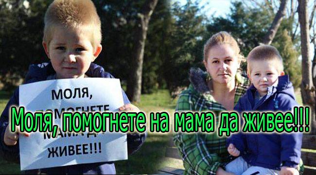Социалните мрежи изненадани: 3-годишно момче помага само на майка си! 