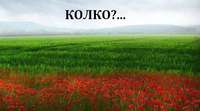 Колко струва да продадеш България