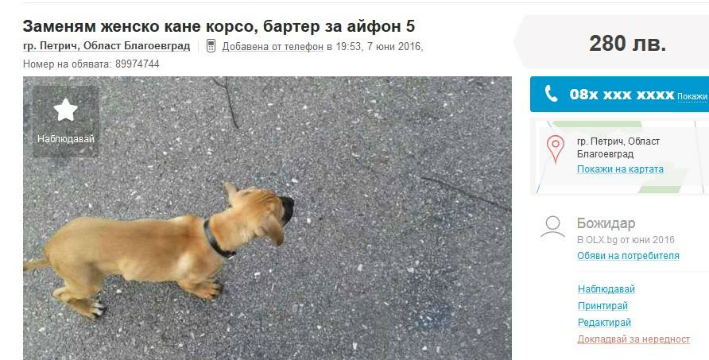 Бартер: Куче за Айфон