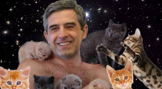 Малко коте президентско, има ли Дубай?