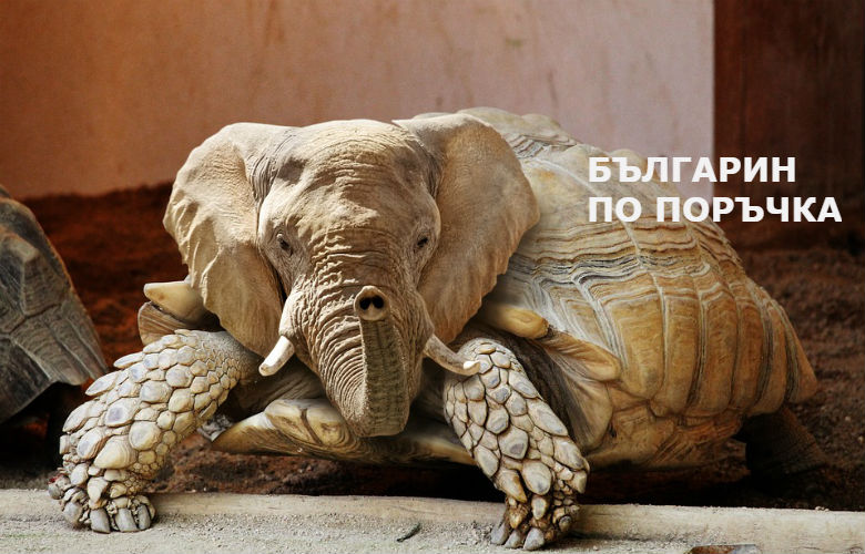 Подмяната