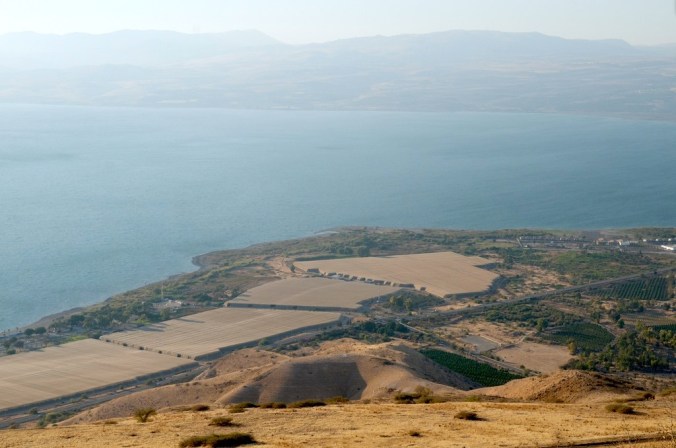 За свинете, страха, болката и самотата