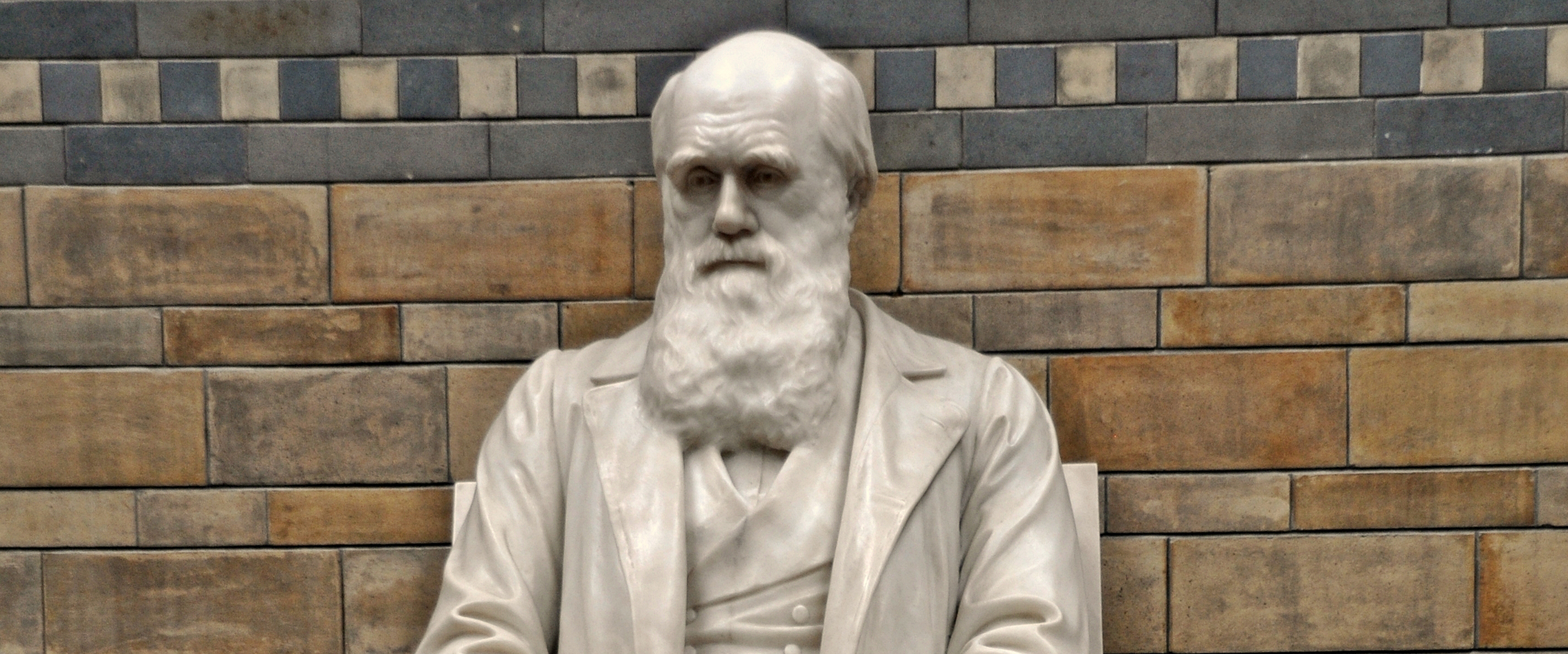 Паметници падат, заради расизъм