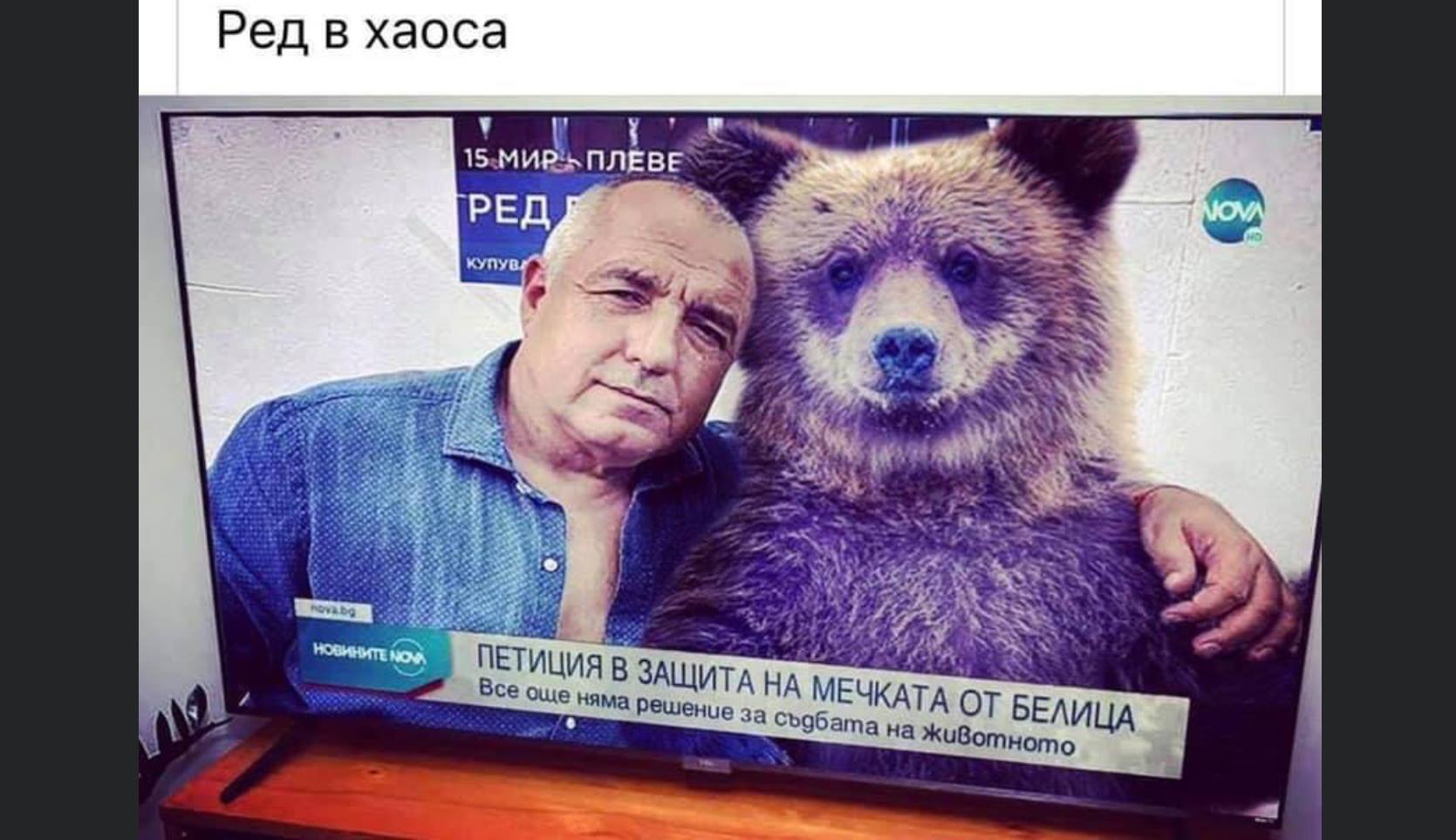 МАНИФЕСТАЦИЯТА НА МЕЧКАТА