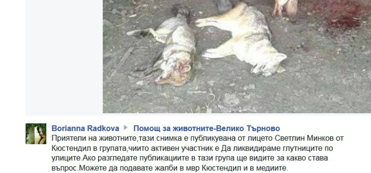 Мъж от Кюстендил убива и дере бездомни животни!

