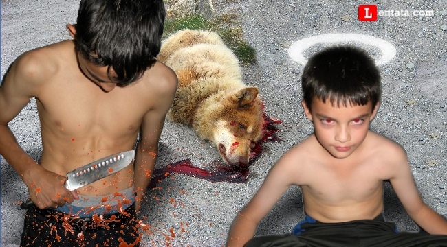 Natural Born Killers